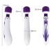 60 Speed Magic Wand Vibrator 